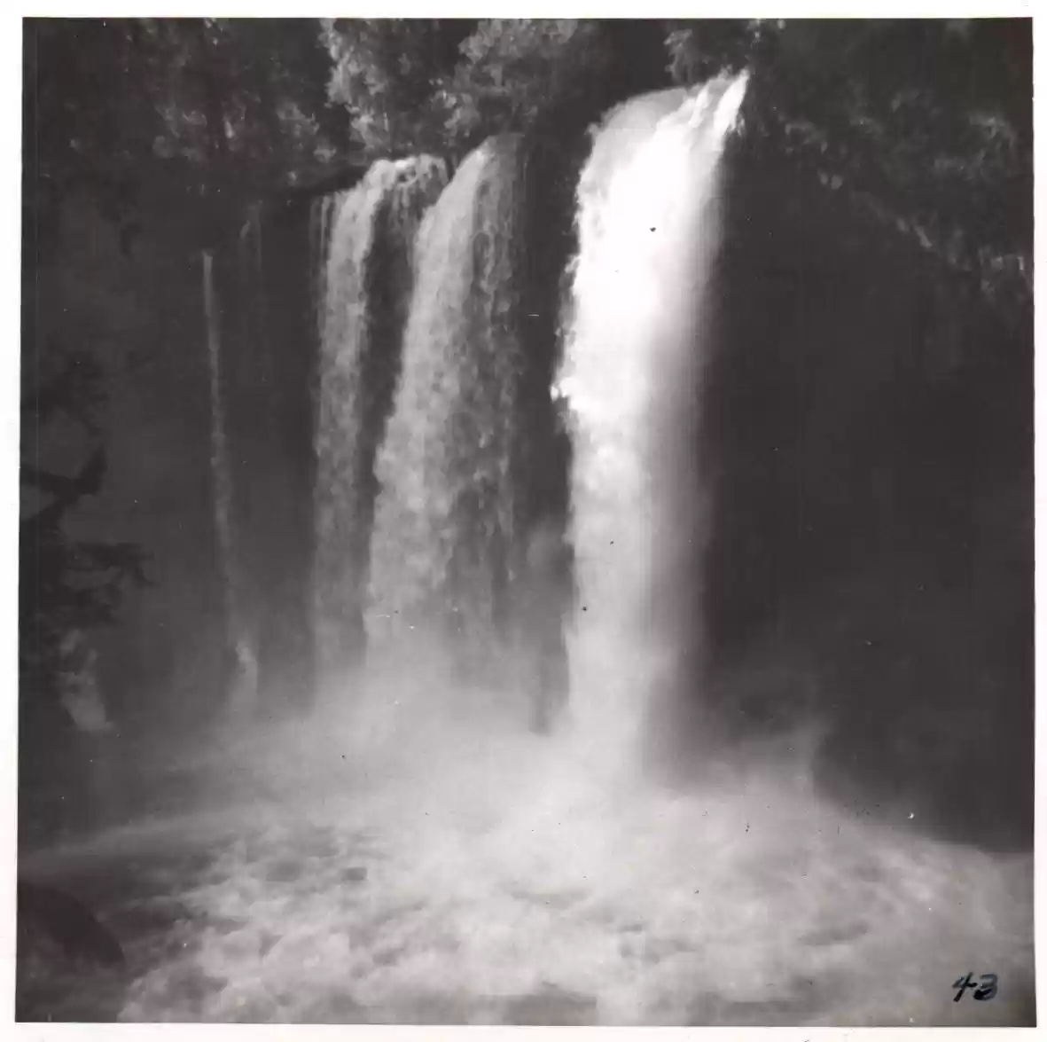 42 - Feast at Belknap Springs, OR - 1950